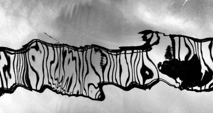 Як позбавитися болю в спині: несподівані поради лікаря