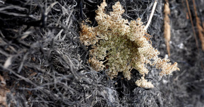 ПРО ОСОБИСТЕ ЖИТТЯ ПІСЛЯ 40-ка ТА ДВОХ РОЗЛУЧЕНЬ