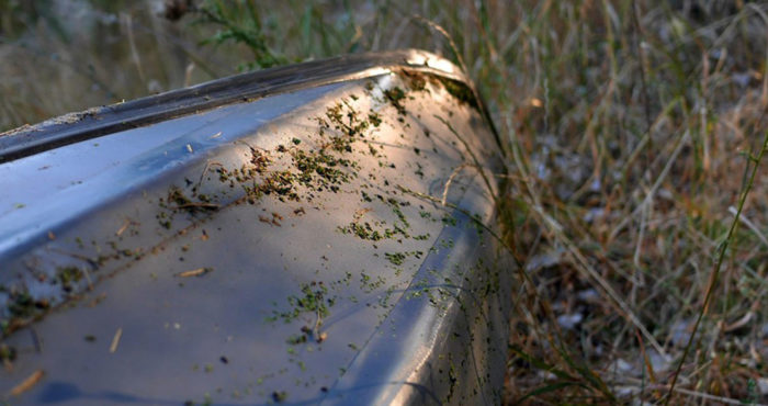 ЩОБ ЖИТИ – РОЗТЯГУЙТЕ ЖИТТЄВИЙ НЕРВ