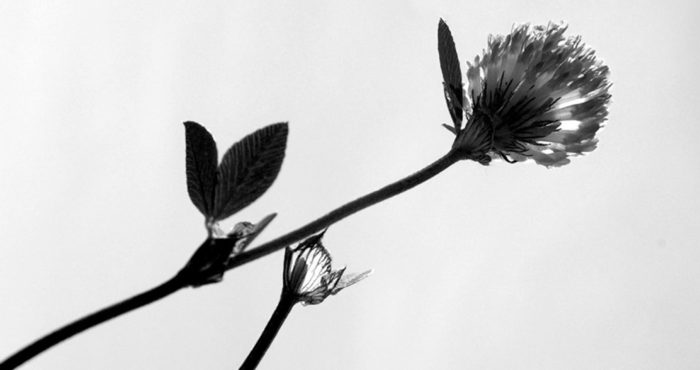 У 40-РІЧНИХ Є ГЛИБИНА